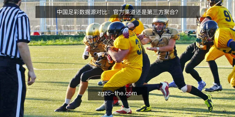 中国足彩数据源对比:官方渠道还是第三方聚合? — 选型决策标准:数据源与工具的关键维度 配图