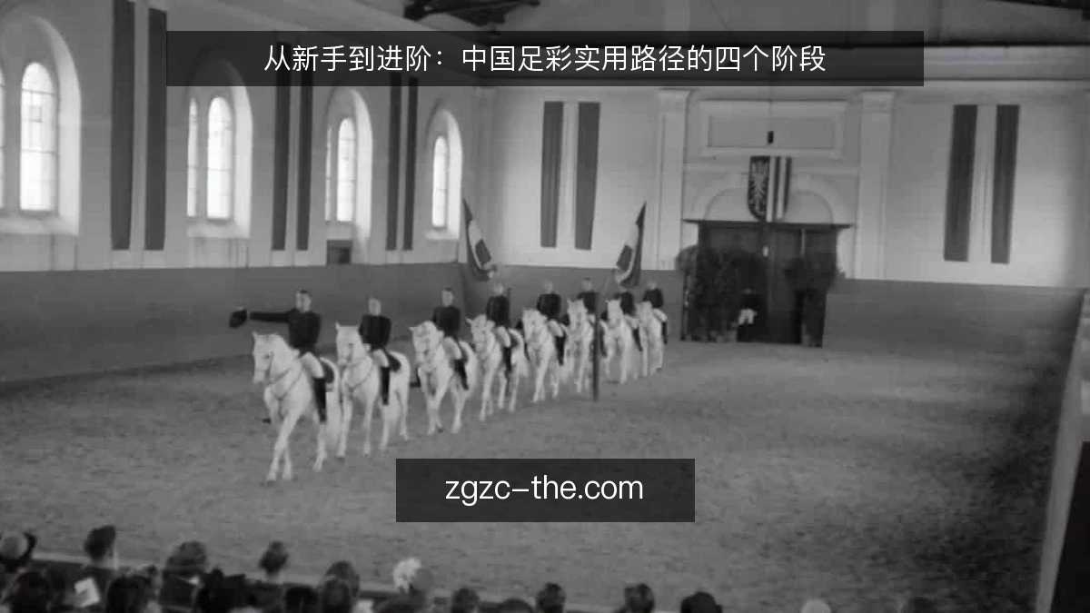 从新手到进阶：中国足彩实用路径的四个阶段