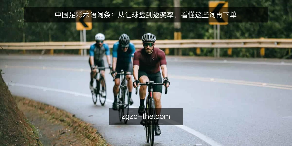 中国足彩术语词条:从让球盘到返奖率,看懂这些词再下单 — 中国足彩常用术语有哪些? 配图