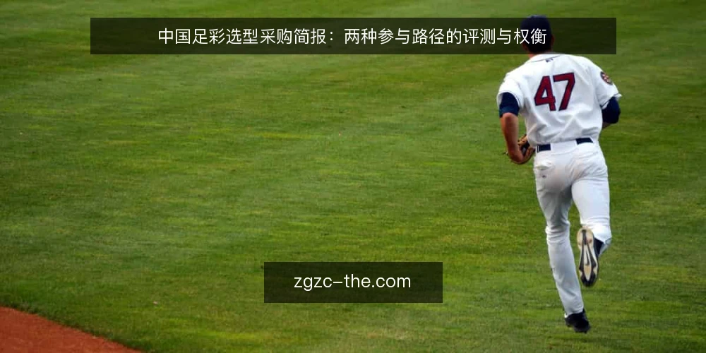 中国足彩选型采购简报:两种参与路径的评测与权衡 — 先定决策标准:这笔采购到底要买到什么 配图